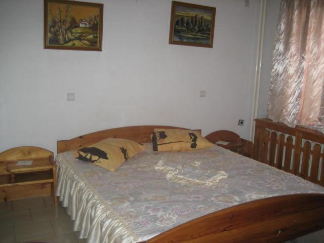 Hotel Mishel Kocherinovo Exterior photo